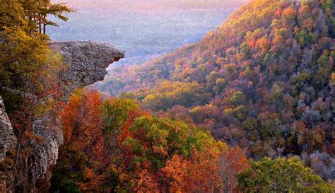 Rediscovering Nature's Magic in the Ozark Hills